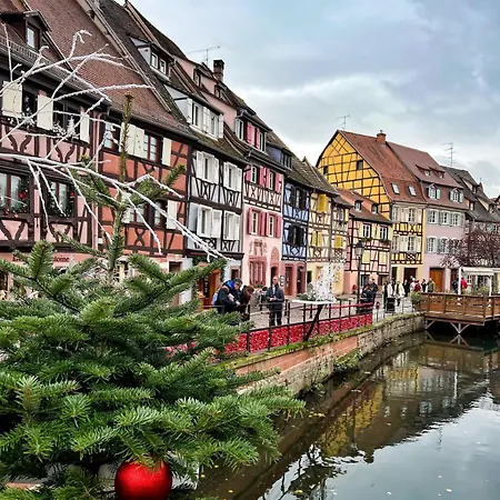 Cocooning Pres De Colmar Lejlighed Muntzenheim