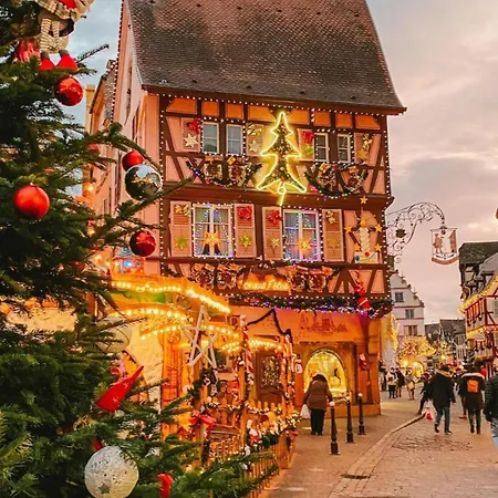 Cocooning Pres De Colmar Lejlighed *