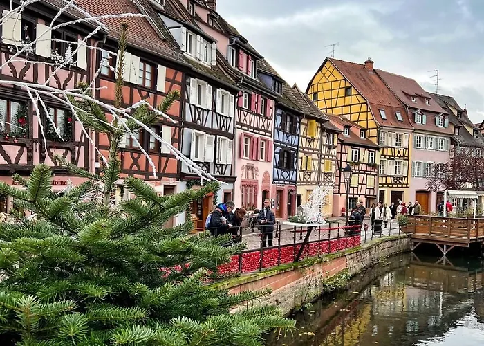 Cocooning Près De Colmar Appartement Muntzenheim